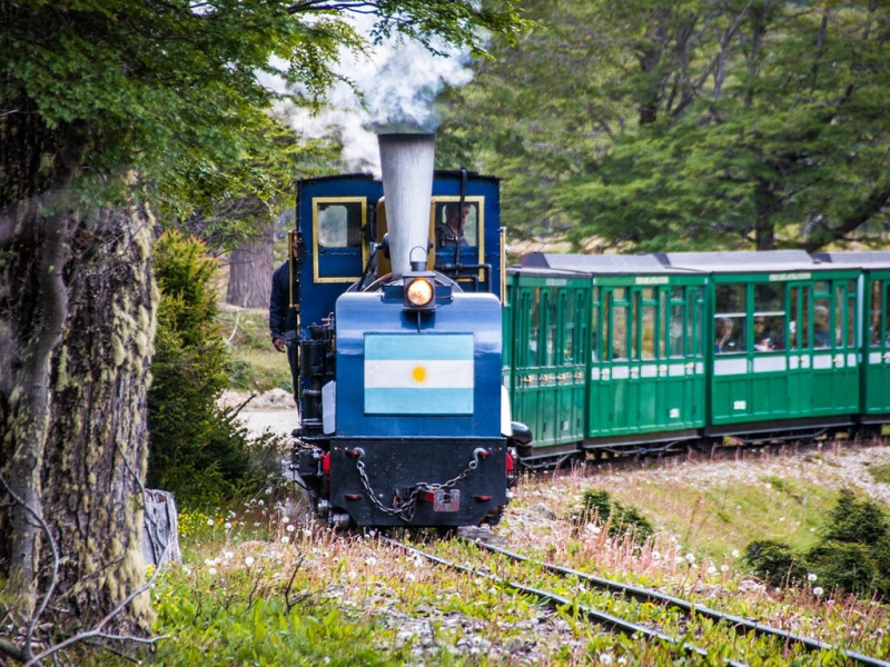 Classic train at the end of the world. It has an Argentine flag on its front. It is going through a green forest