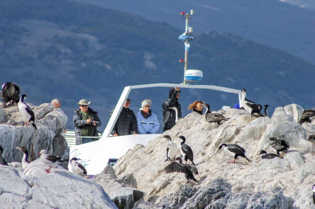 Navegación Isla de los Lobos en Catamarán