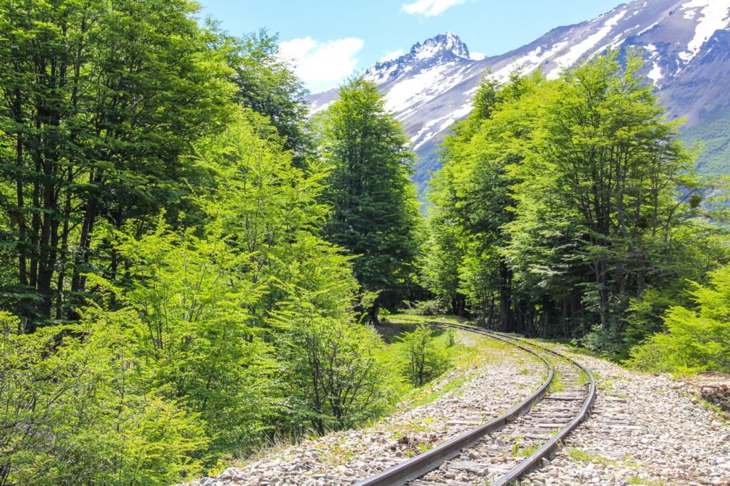 Tren del Fin del Mundo