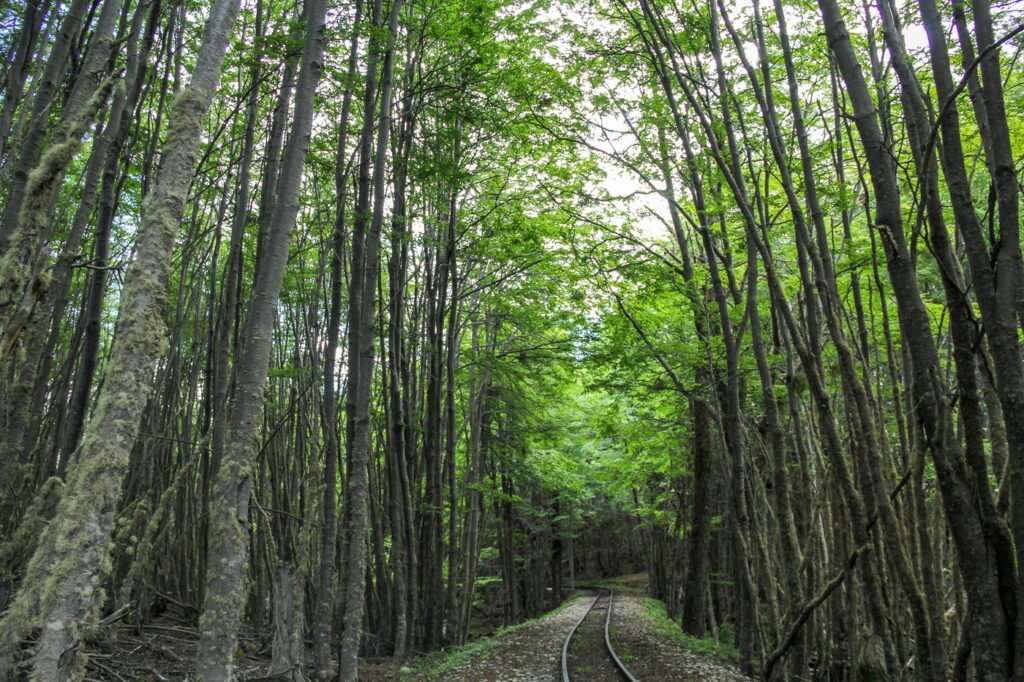 Tren del Fin del Mundo