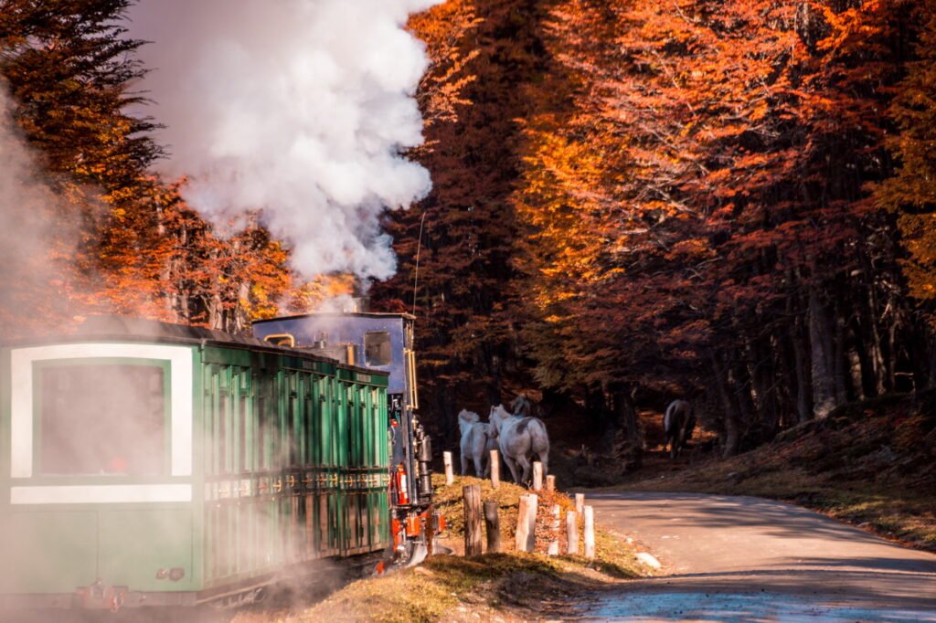 Tren del Fin del Mundo