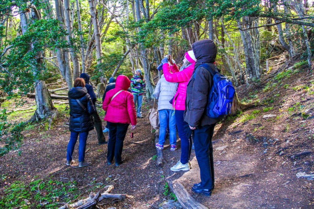 Parque Nacional Tierra del Fuego