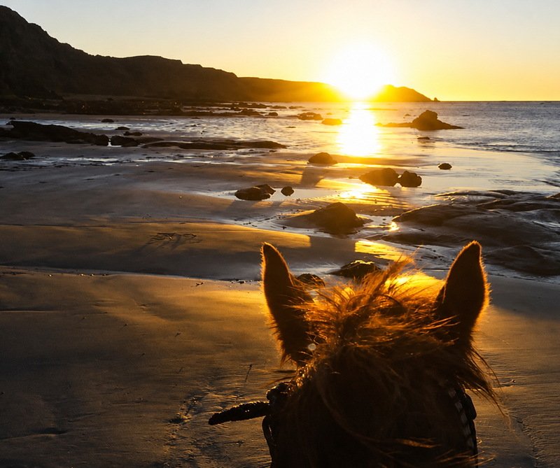 Cabalgata por los bosques del Monte Susana en Ushuaia