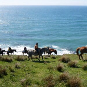 Cabalgata por el Monte Susana con vista al Canal Beagle
