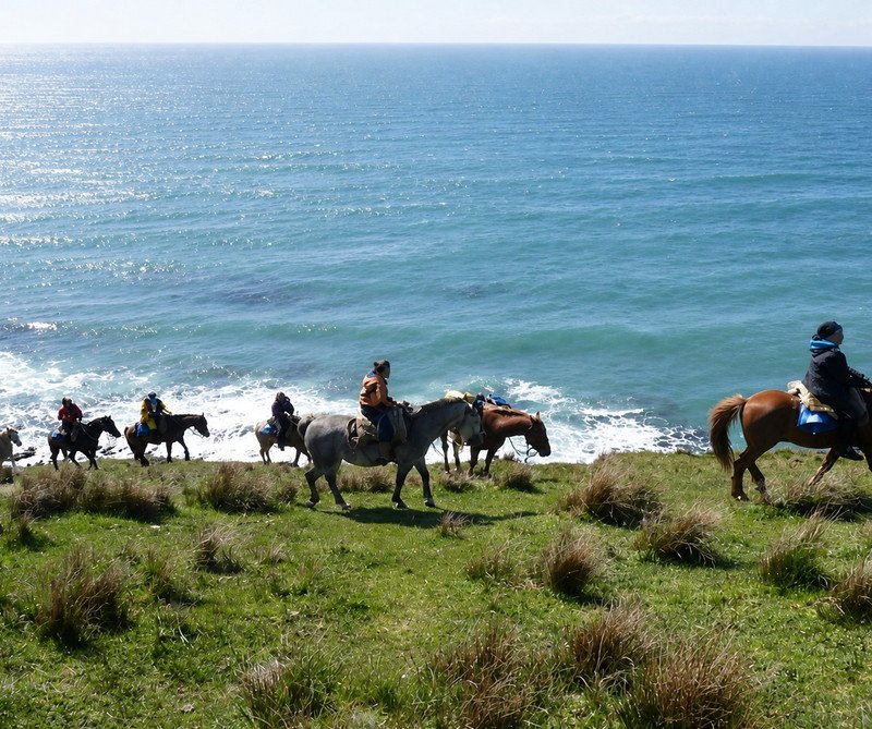 Cabalgata por el Monte Susana con vista al Canal Beagle