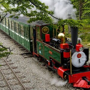Locomotora a vapor del Tren del Fin del Mundo entre el bosque fueguino