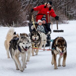 Trineo tirado por huskies en la nieve de Tierra del Fuego