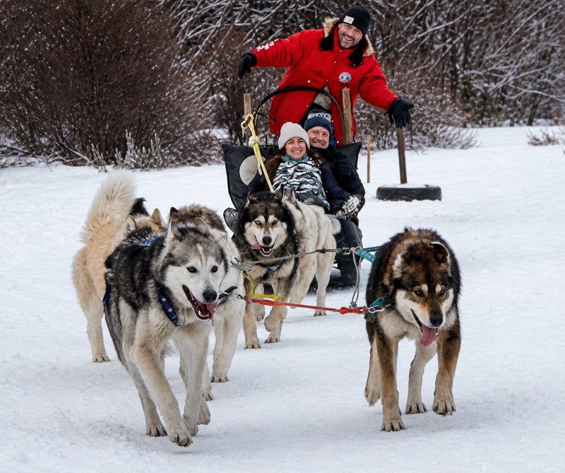 Trineo tirado por huskies en la nieve de Tierra del Fuego