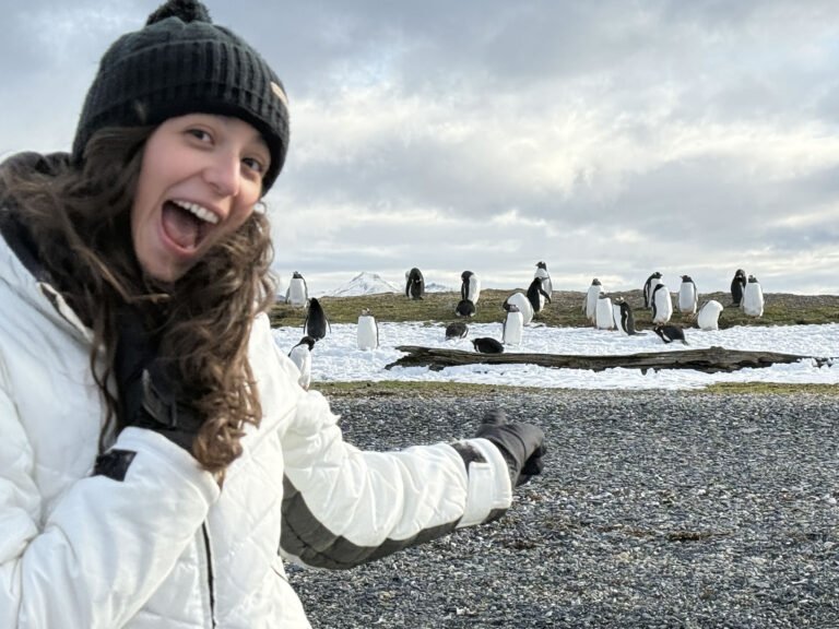 Pingüinera y Tour de la Centolla 4×4