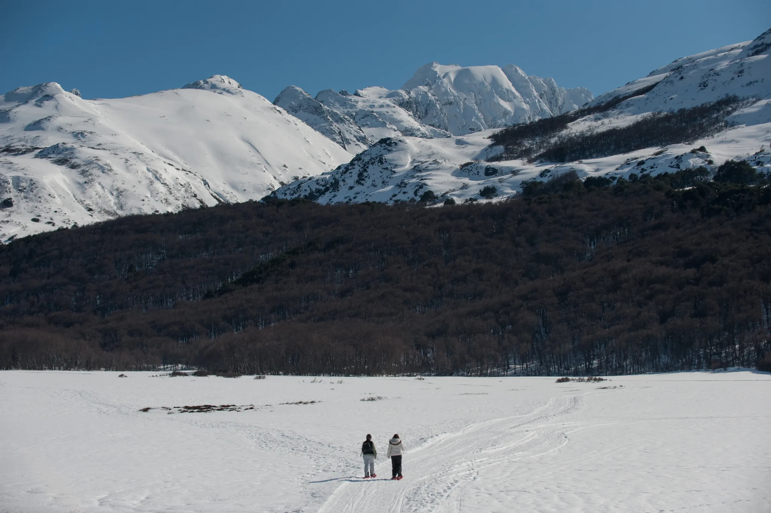 Montañas nevadas de Tierra del Fuego