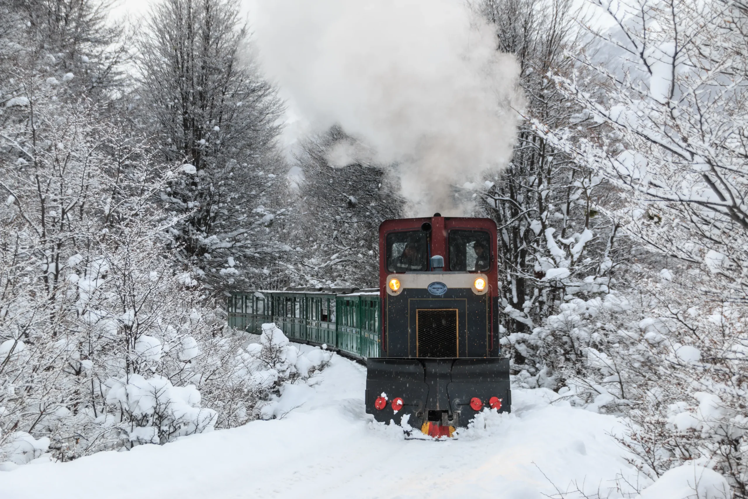 Tren del Fin del Mundo entre bosques nevados